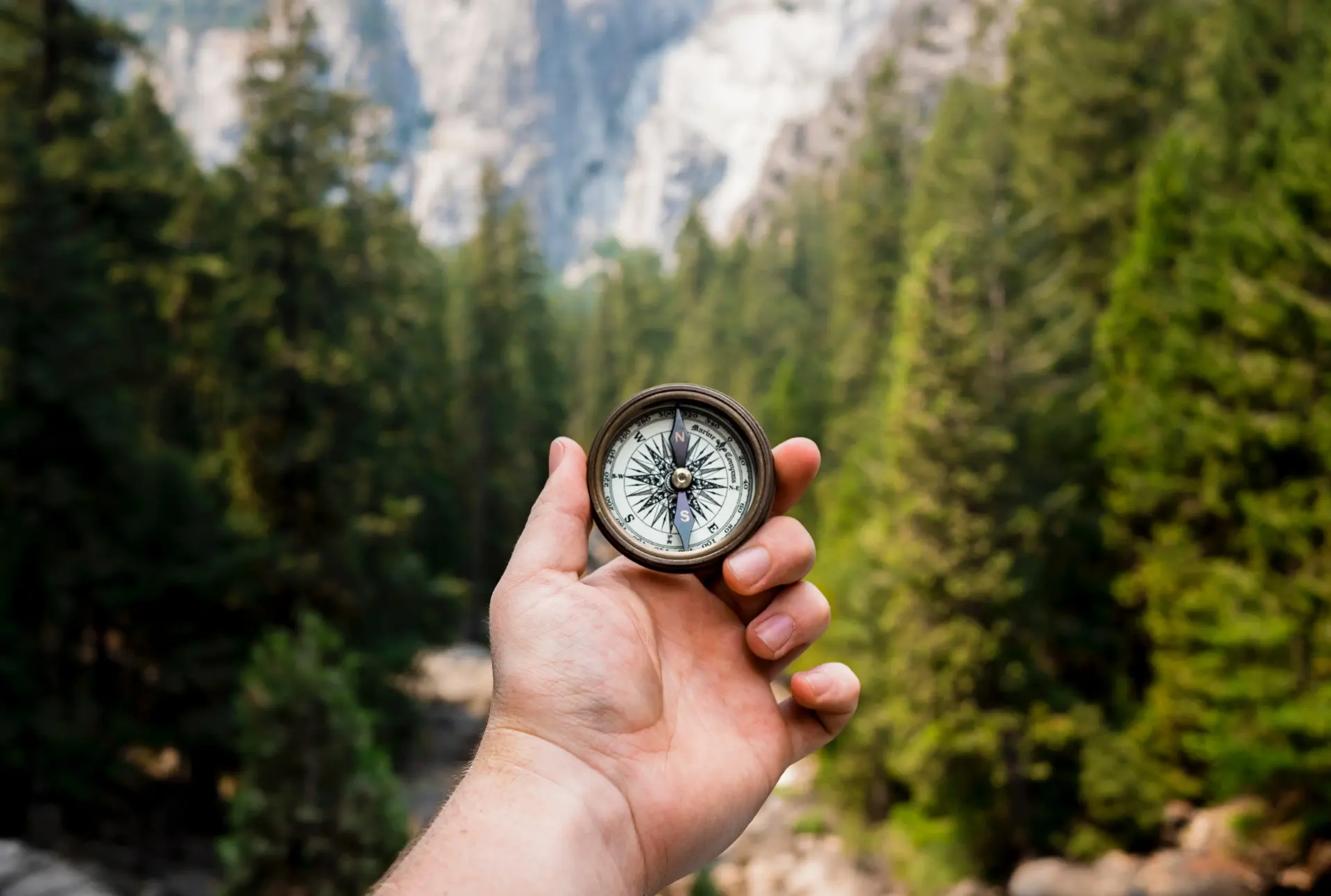Eine Linke Hand hält einen Kompass, im Hintergrund ist ein Wald zu sehen